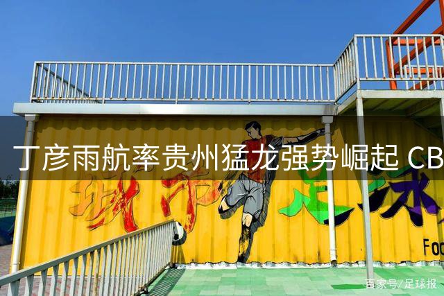 丁彦雨航率贵州猛龙强势崛起 CBA升降级格局或迎巨变